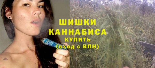 шишки Нягань