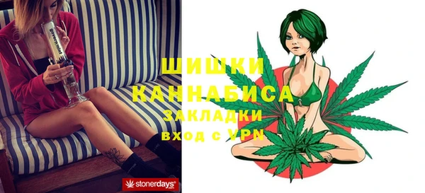 шишки Нягань