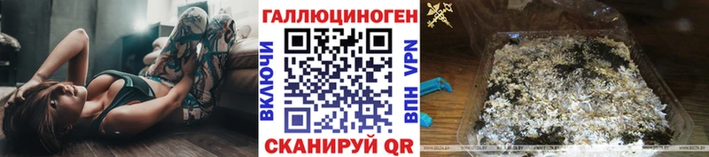 Псилоцибиновые грибы Cubensis Сочи